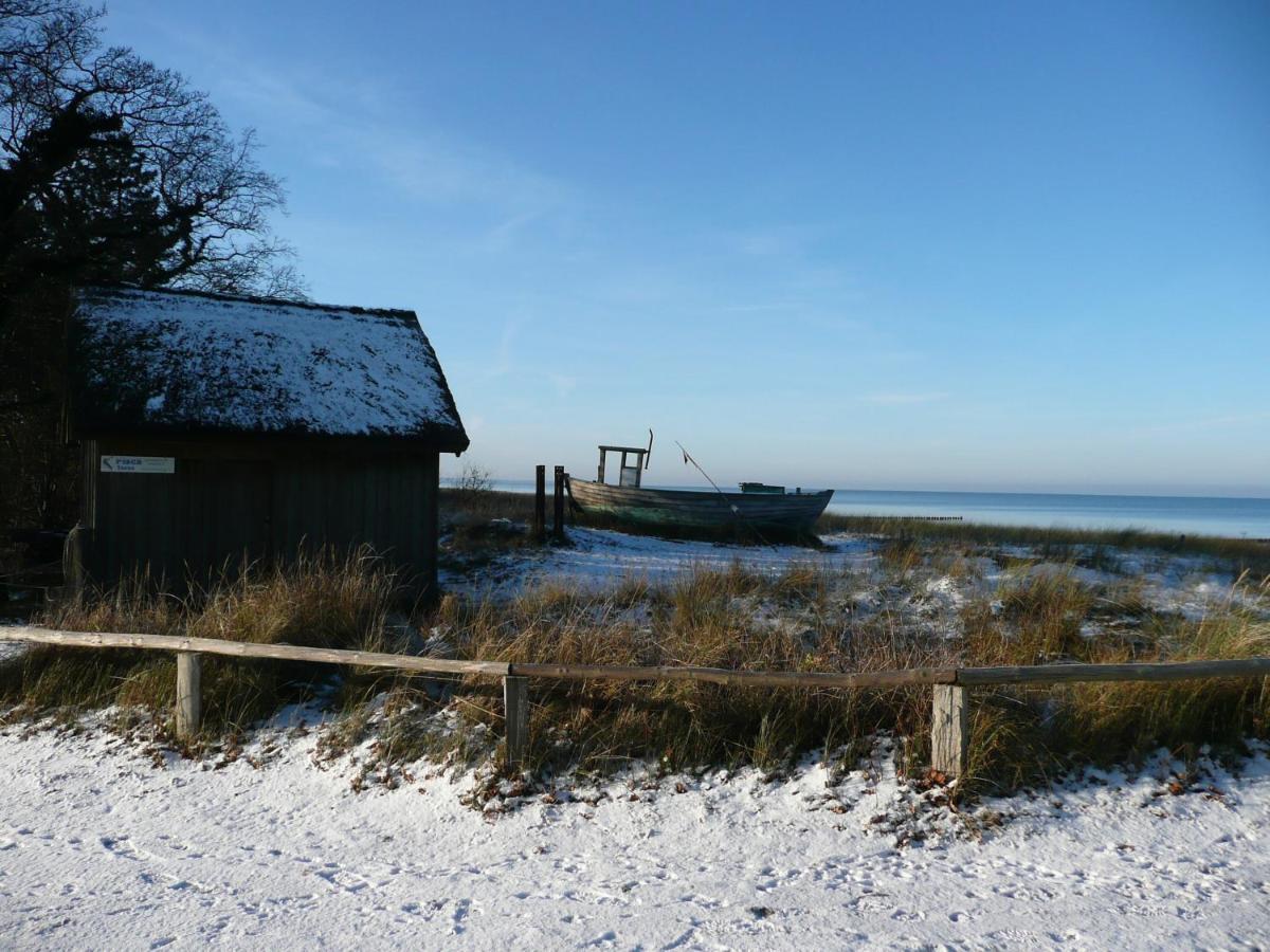 Residenz am Strand Wohnung 2-36 Ostseeheilbad Ostseeheilbad Zingst Exterior foto